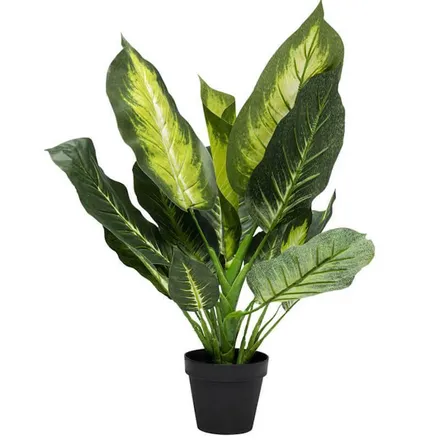 Kunstlill potis Dieffenbachia h50 cm