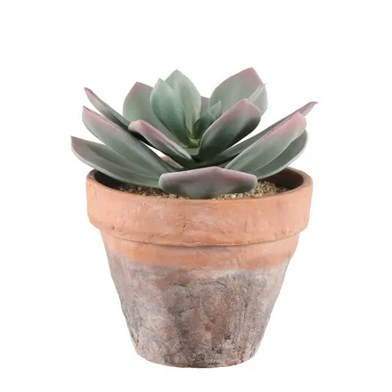 Kunstlill Succulent H20