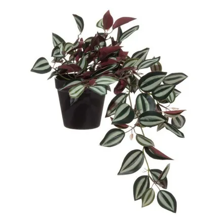 Kunsttaim Tradescantia Zebrina H22 roheline