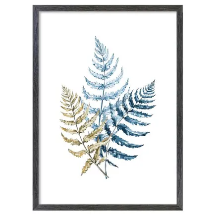 Poster Fern 50x70