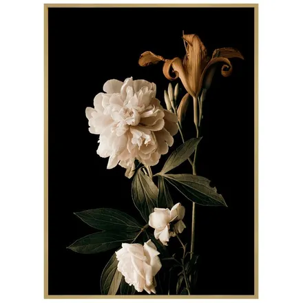 Poster Flora III 50x70