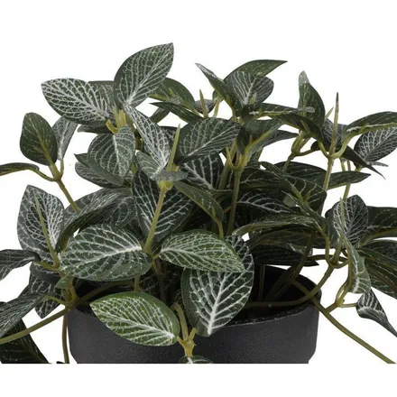 Kunstlill Fittonia potis H17 roheline