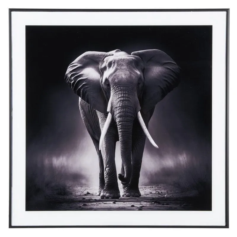 Seinapilt Elephant 50x50 must/valge